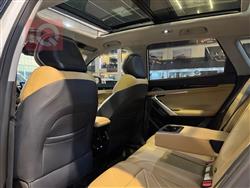 جيلي ستاراي